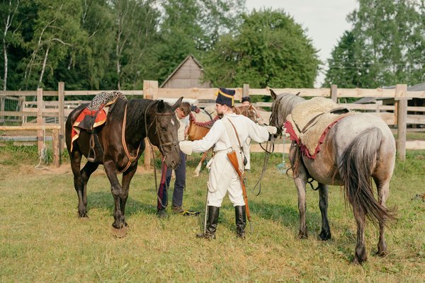 Comment construire un enclos extérieur sécurisé pour petits animaux de compagnie ?