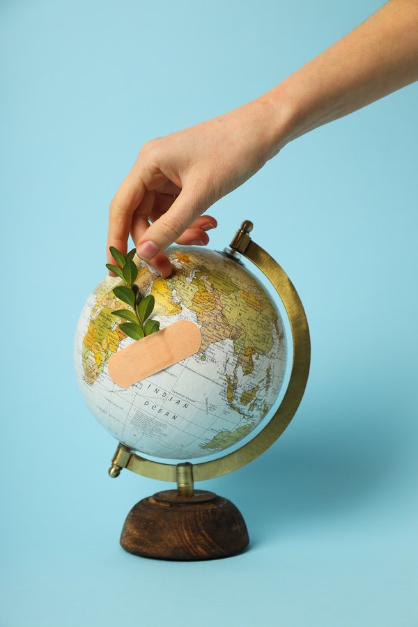 Célébrez la journée de la terre avec le quiz Google interactif